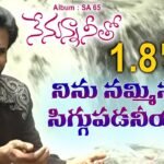 Ninu Namminacho Song Lyrics | AR Stevenson